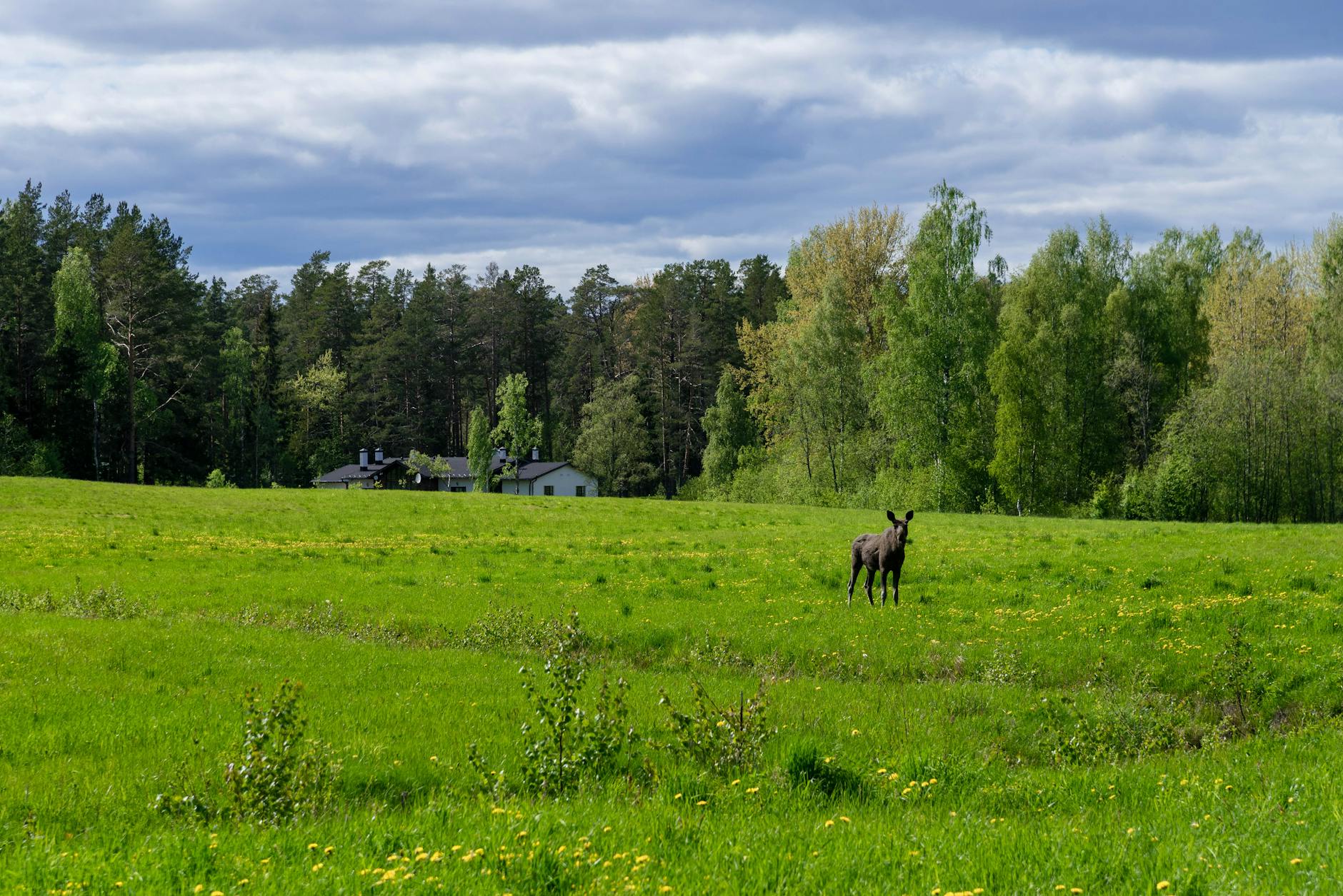 若手が育たないのは“技術”が降りてないから