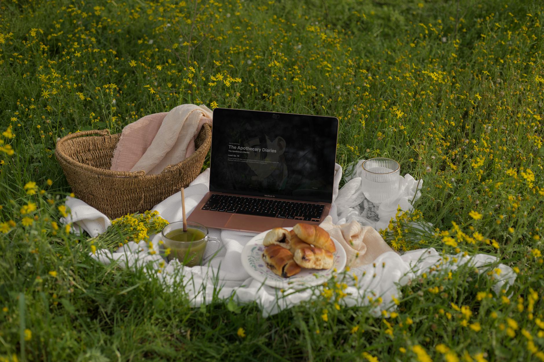 relaxing outdoor picnic with laptop and snacks