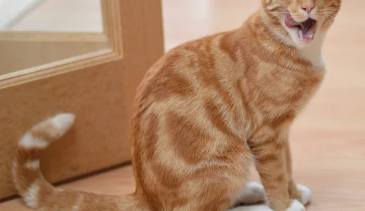 現場の仕事を“経営視点”で分解してみたら