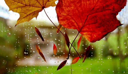 人手不足でも強いチームになる3つの鍵