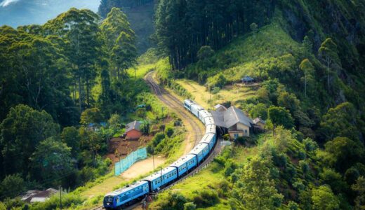 人が育たない職場には、“仕組み”が足りない