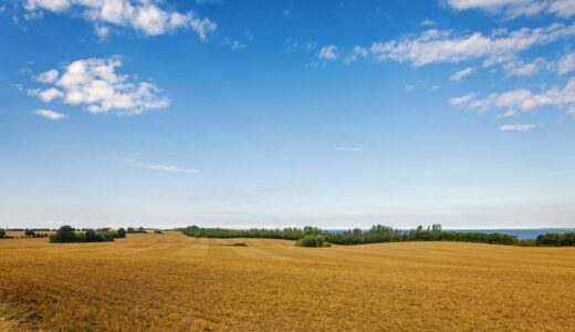 “辞めたら終わり”の現場、卒業しませんか？