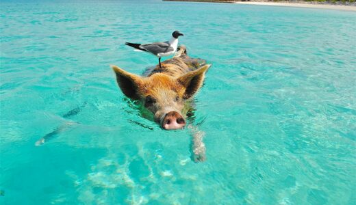 採用より先に、“仕組み”を見直しませんか？