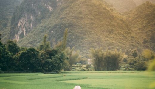 部分最適で満足すると、組織は静かに崩れていく